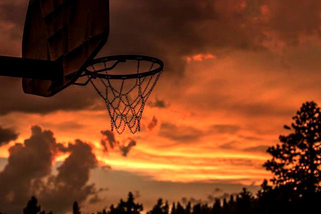 多伦多节奏 vs 明尼苏达山猫 赛前分析 · WNBA