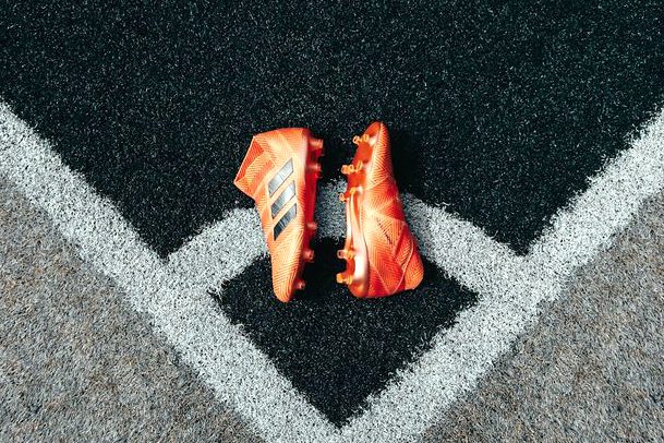 奥林匹克湾 vs 奥克兰FC后备队 赛前分析 · 新西北联
