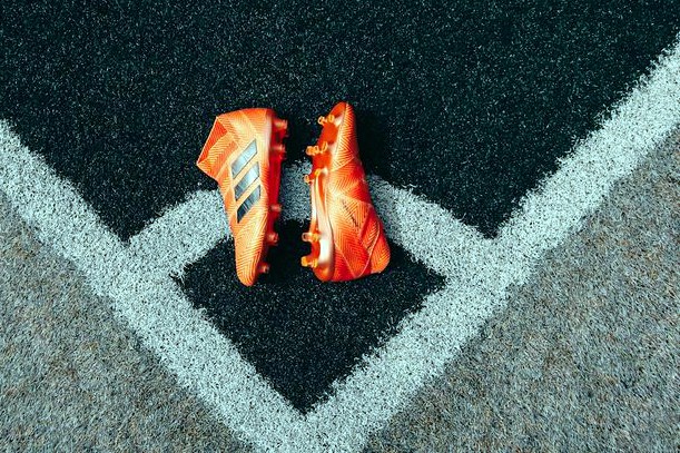 [5]西伯尔 vs 韦莱斯[1]