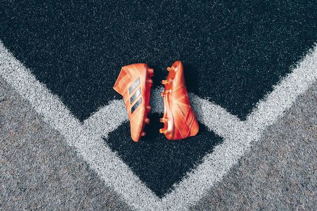 克拉伦斯斑马后备队 vs 塔洛纳 赛后战报 · 澳塔锦