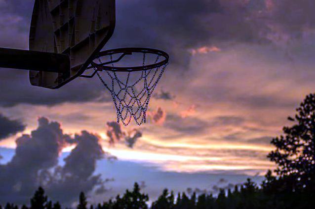 纽约自由人 vs 多伦多节奏 赛后战报 · WNBA